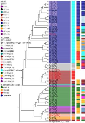 Molecular Epidemiology of Clinical and Colonizing Methicillin-Resistant Staphylococcus Isolates in Companion Animals